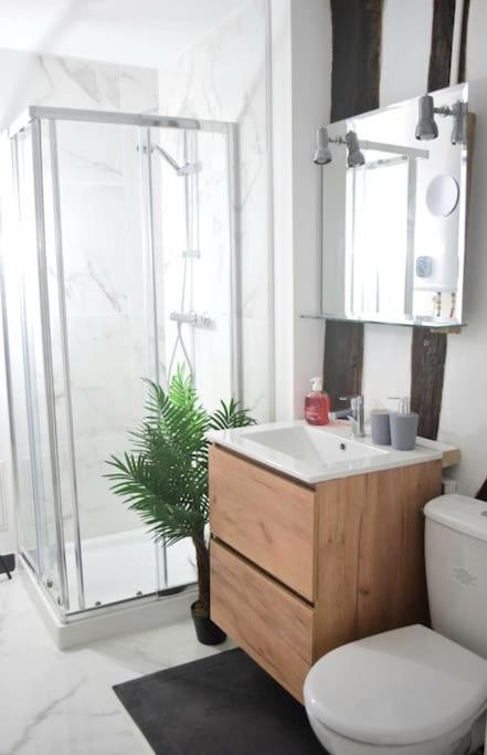 Chic Et Normand, Parking Facile, Wifi Hd Apartment Pont-Audemer Luaran gambar